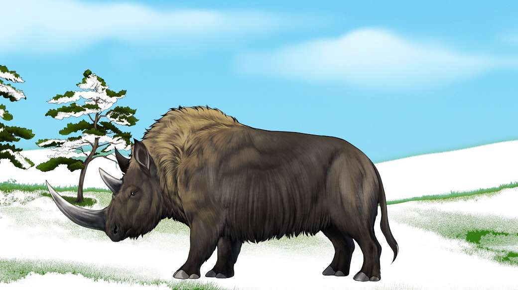 Головоломка з носорогом пазл онлайн