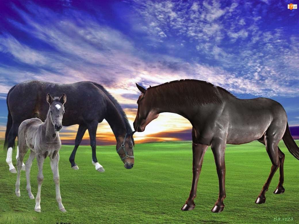 Horses grazing jigsaw puzzle online