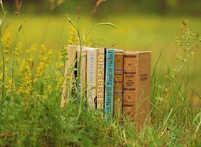 Meadow with books online puzzle