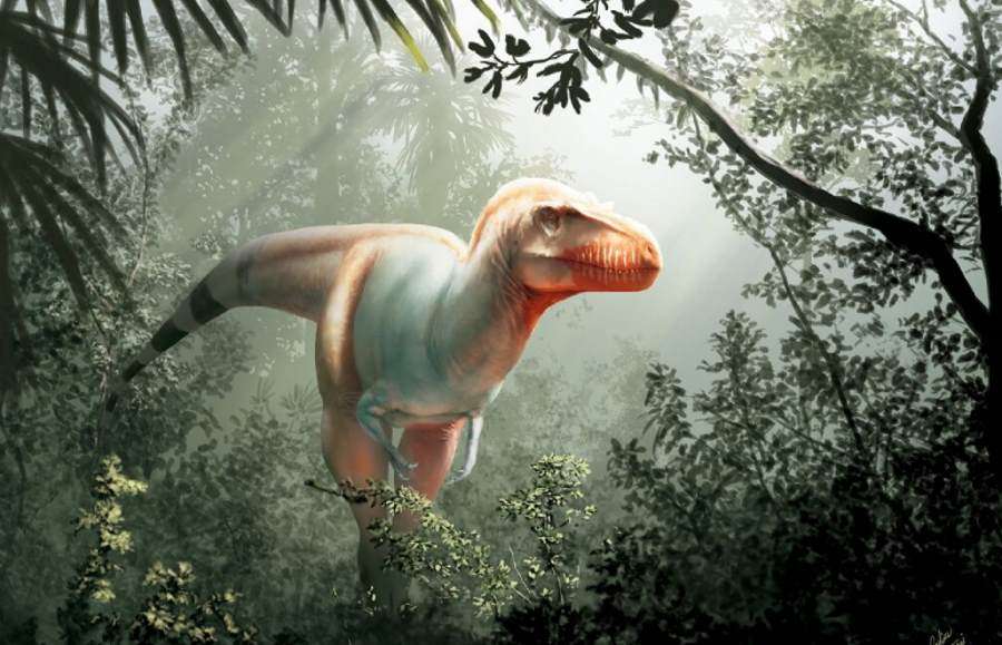 un dinozaur colorat călătorește prin jungle jigsaw puzzle online