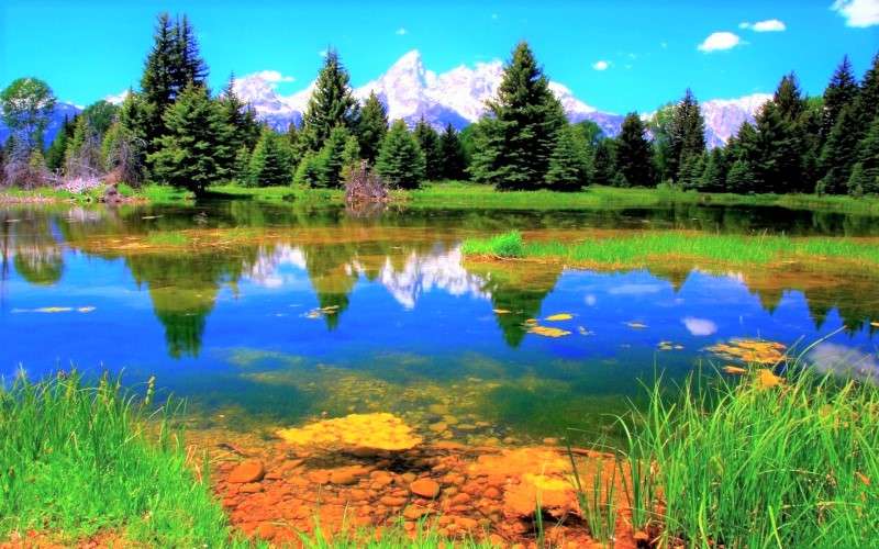 Lacul pe fundalul munților și pădurii puzzle online