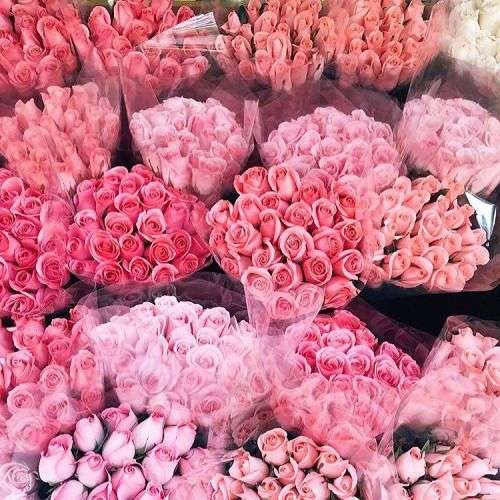 Roses ♥ ❤ ❥ kirakós online