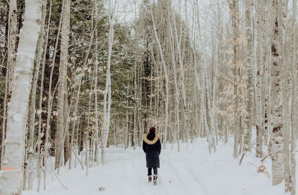 Young woman walking through snowy woods jigsaw puzzle online