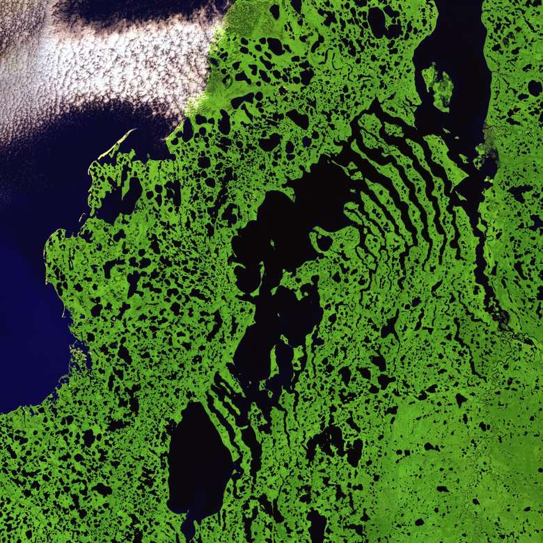 трева сателитна илюстрация онлайн пъзел