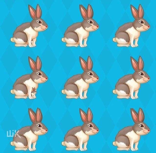 ¿Cuántos conejos hay? rompecabezas en línea