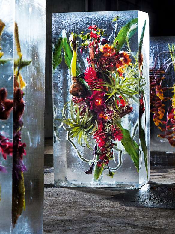 Fiori ghiacciati dell'artista di fiori Azuma Makoto puzzle online