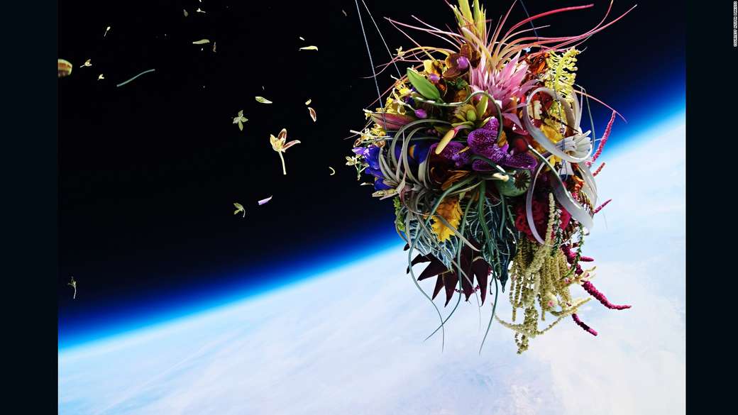 Bloemen in de ruimte legpuzzel online