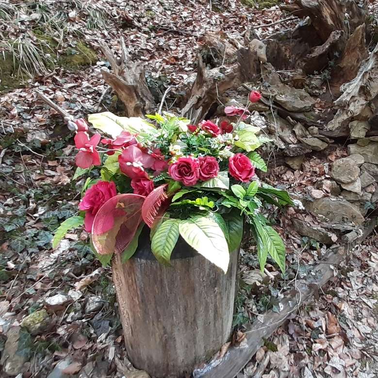 саксия за цветя в гората онлайн пъзел