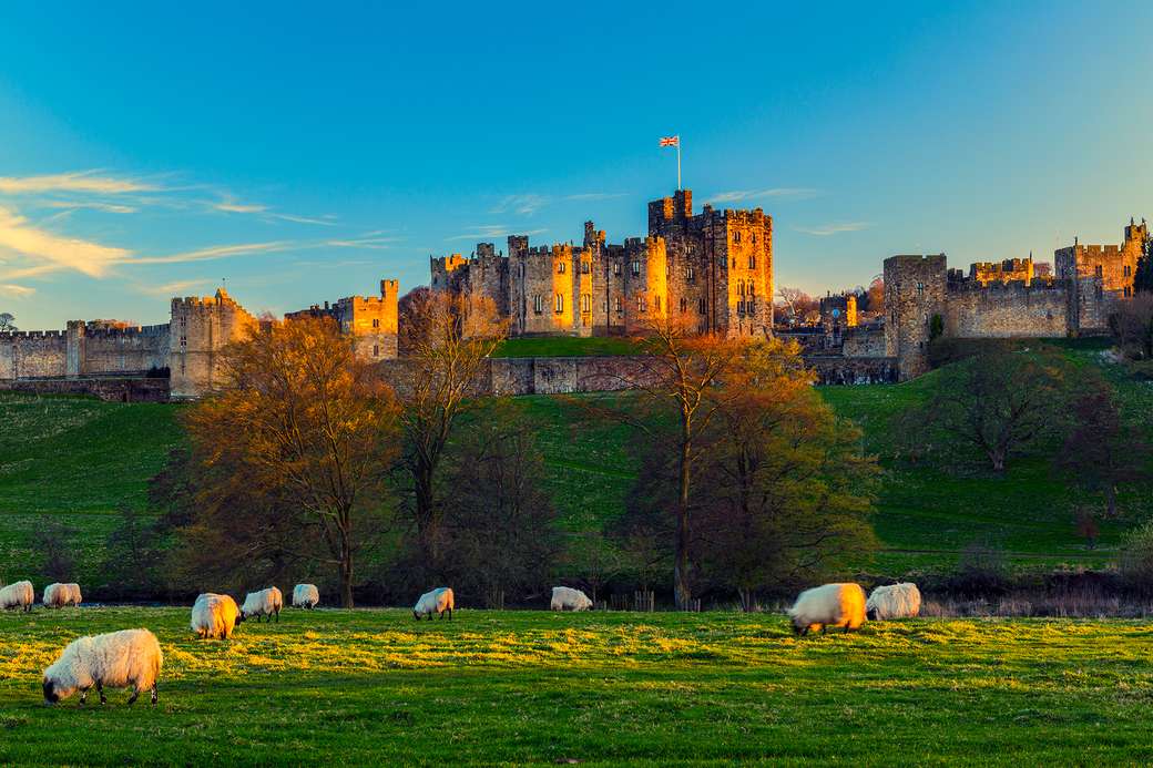 Castelo de Alnwick, Inglaterra quebra-cabeças online