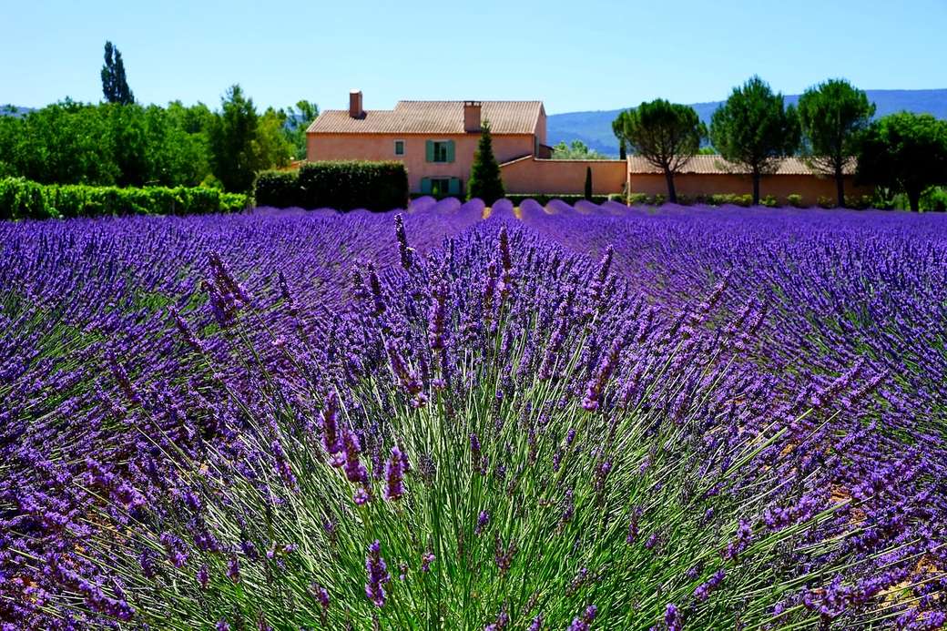 Provence, Frankrijk legpuzzel online