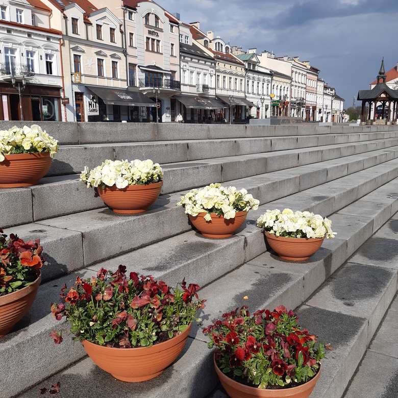 квіткові горщики на ринковій площі в Жешуві пазл онлайн