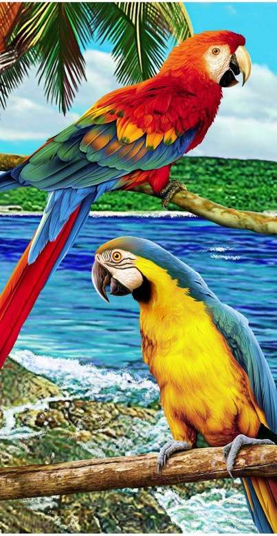 Папуга в раю делюкс онлайн пазл