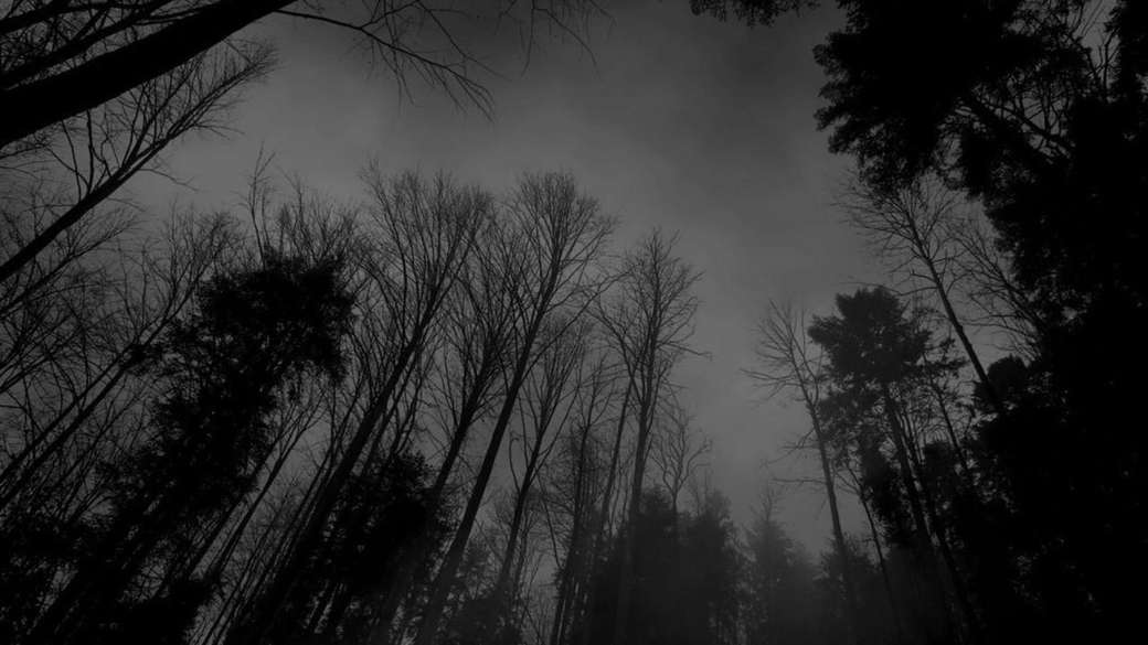 Temný les skládačky online