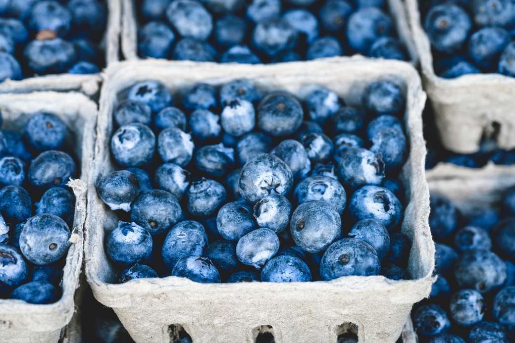 blåbär frukt pussel på nätet