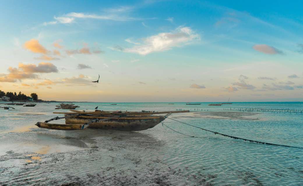 Zanzibar eiland online puzzel