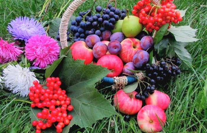Frutas e flores na grama puzzle online