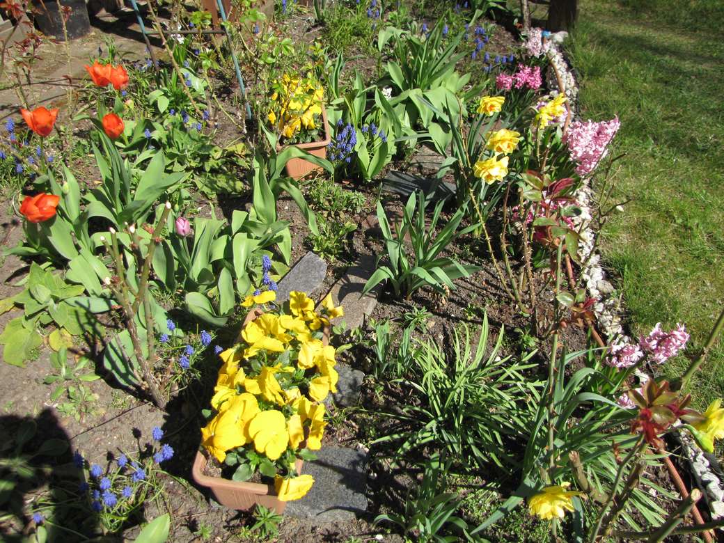 Frühling im Garten Online-Puzzle