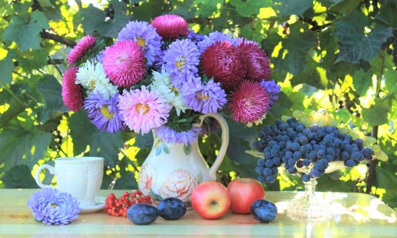 Bunte Astern in der Vase, Frucht Puzzlespiel online