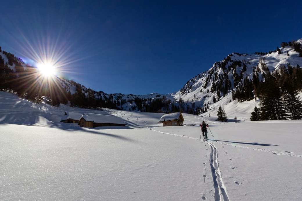 homem segurando bastões de esqui perto de montanhas puzzle online