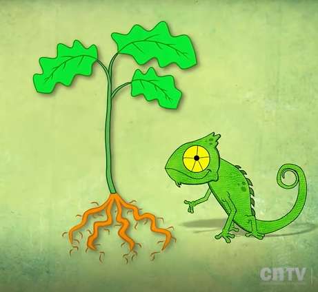 The parts of the Chameleon plant jigsaw puzzle online
