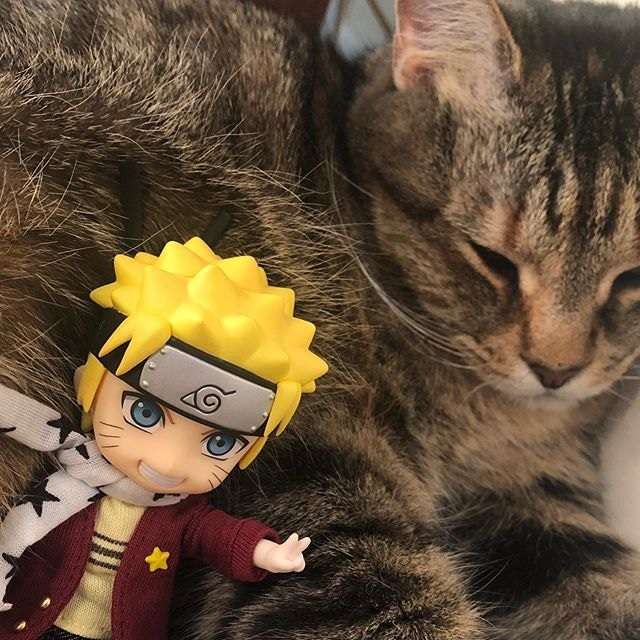 Naruto y su gato rompecabezas en línea