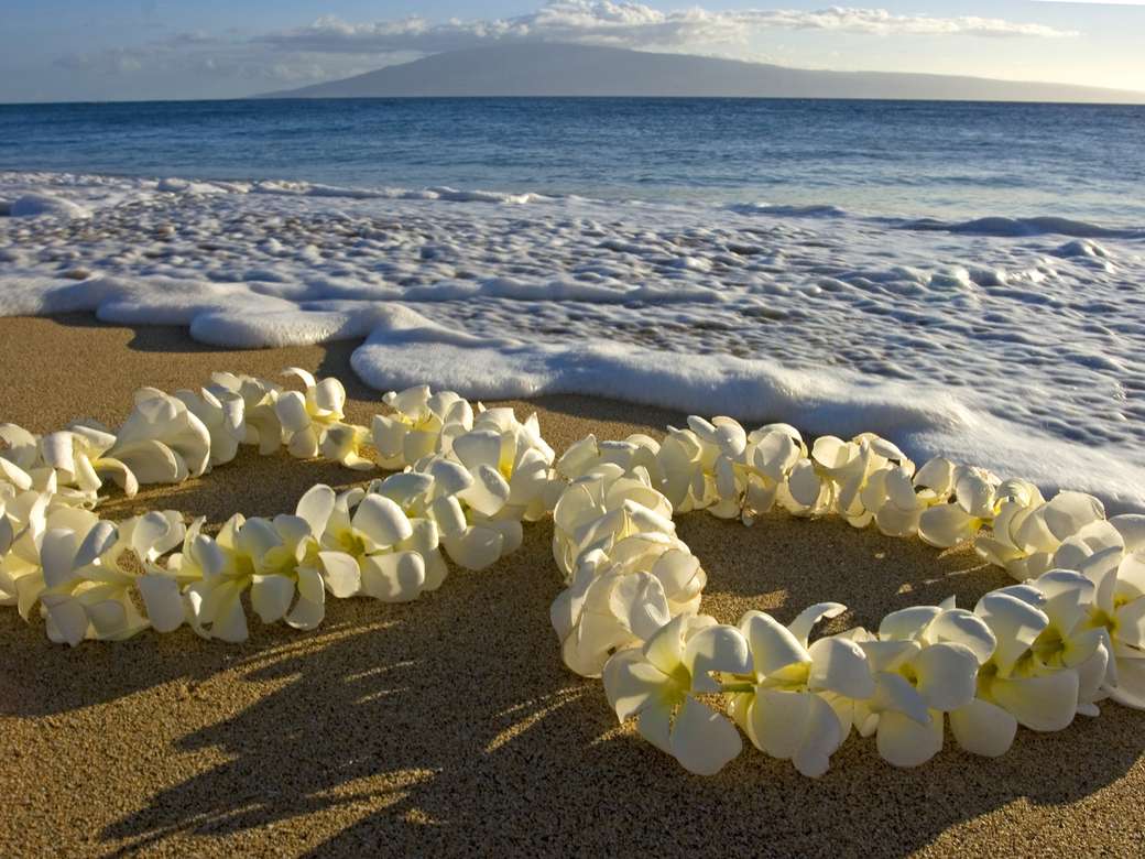 Ghirlande di fiori bianchi di plumeria puzzle online