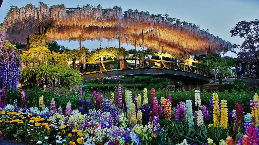 Ashikaga Flower Park rompecabezas en línea