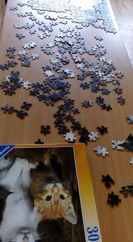 Gatti puzzle puzzle online