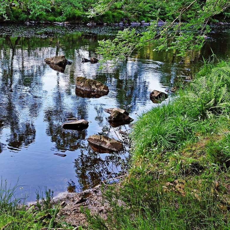 iarbă verde lângă corp de apă în timpul zilei jigsaw puzzle online