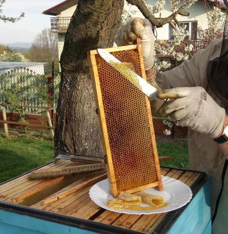 Μέλι κατευθείαν από το έμπλαστρο online παζλ