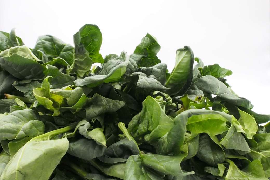 foglie verdi della natura degli spinaci puzzle online