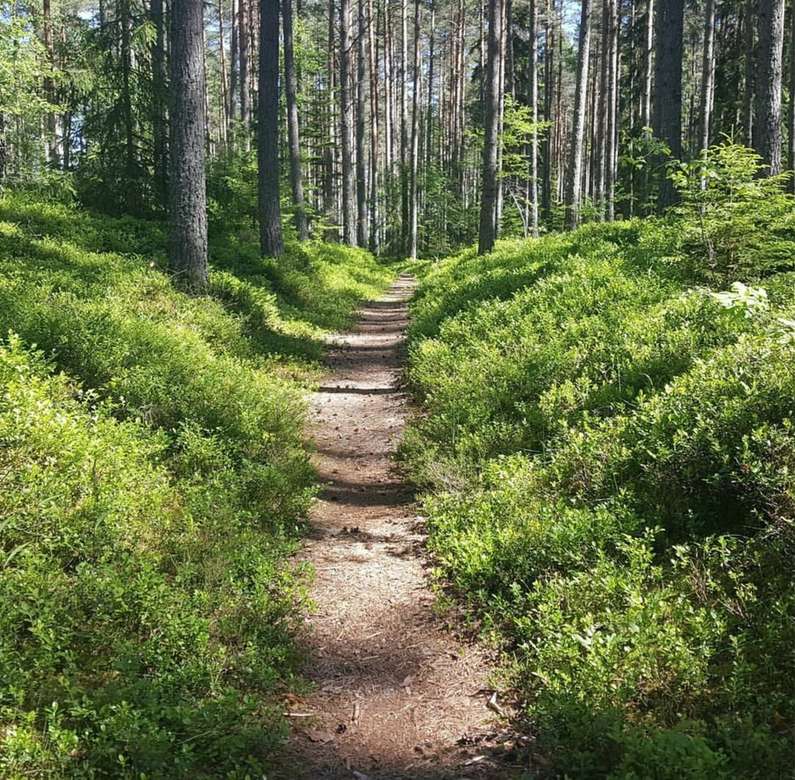 Een pad in het bos online puzzel