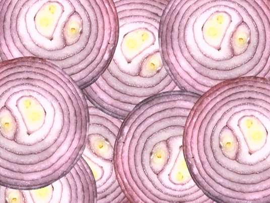 o is for onion online puzzle