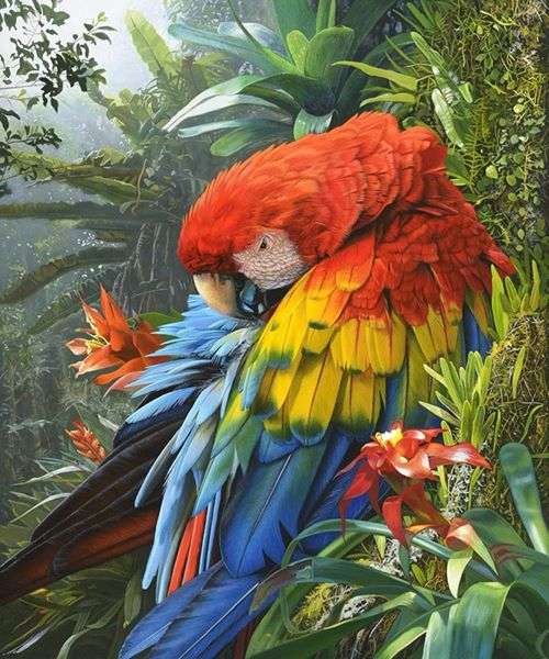 Papagal colorat puzzle online