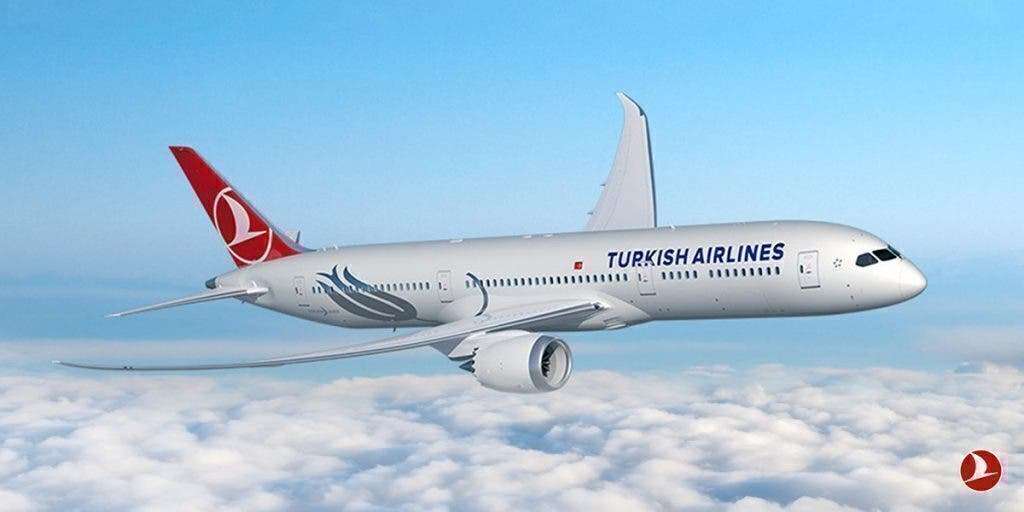 turkiska flygbolag Pussel online