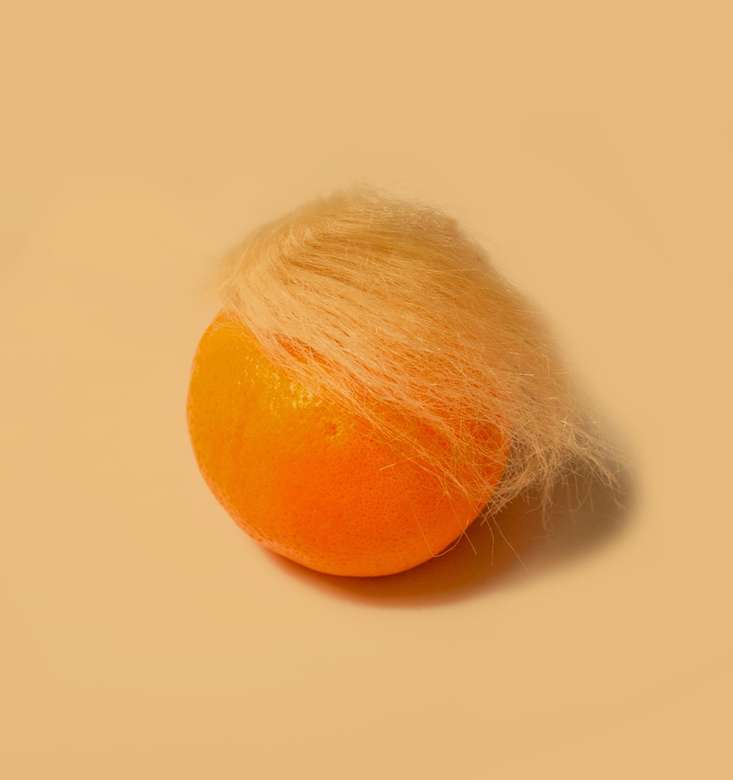 Волосся Трампа пазл онлайн