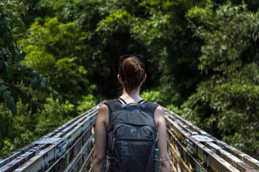 Escursionista su un ponte in acciaio puzzle online