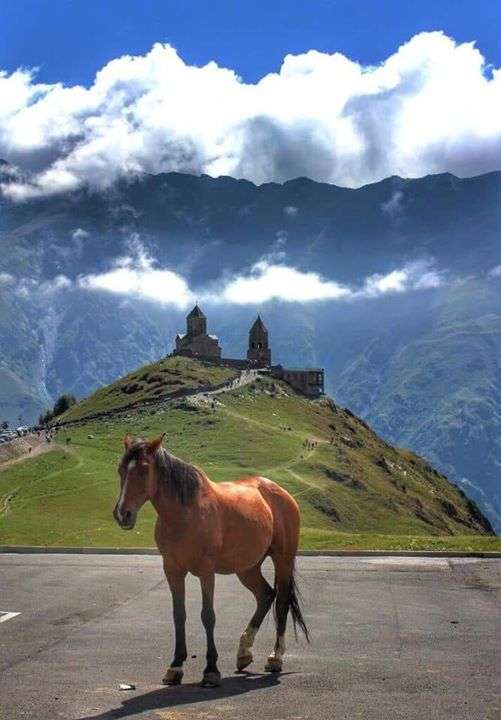 Γεωργιανό άλογο. online παζλ