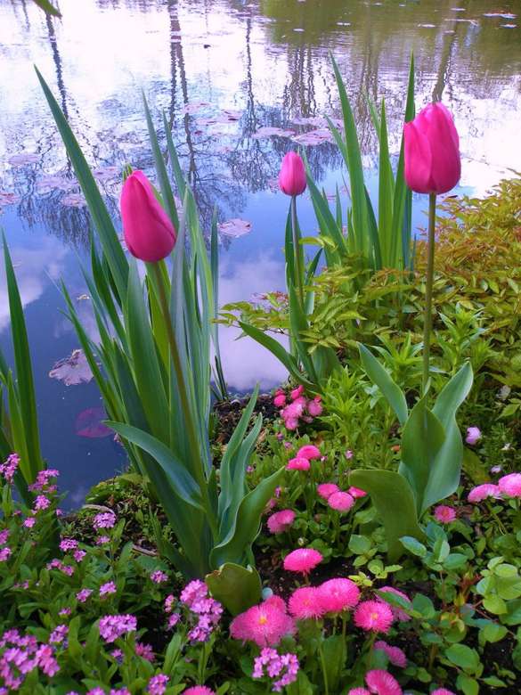 tulipánok és rózsaszín virágok kirakós online