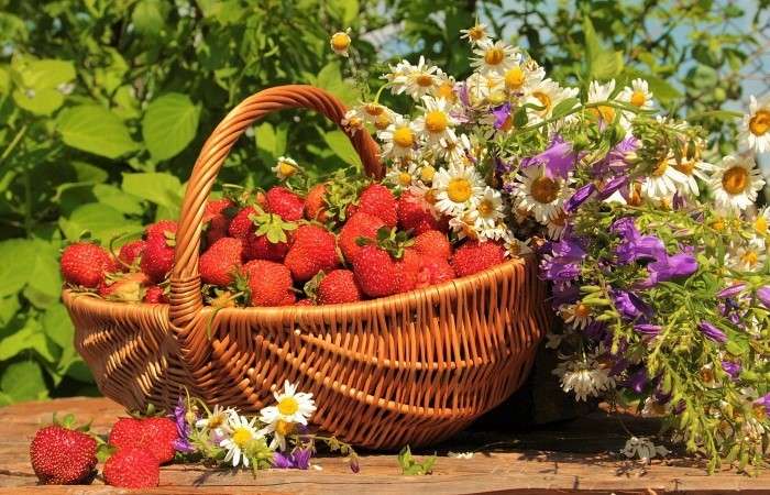 Cesta com morangos e flores silvestres puzzle online