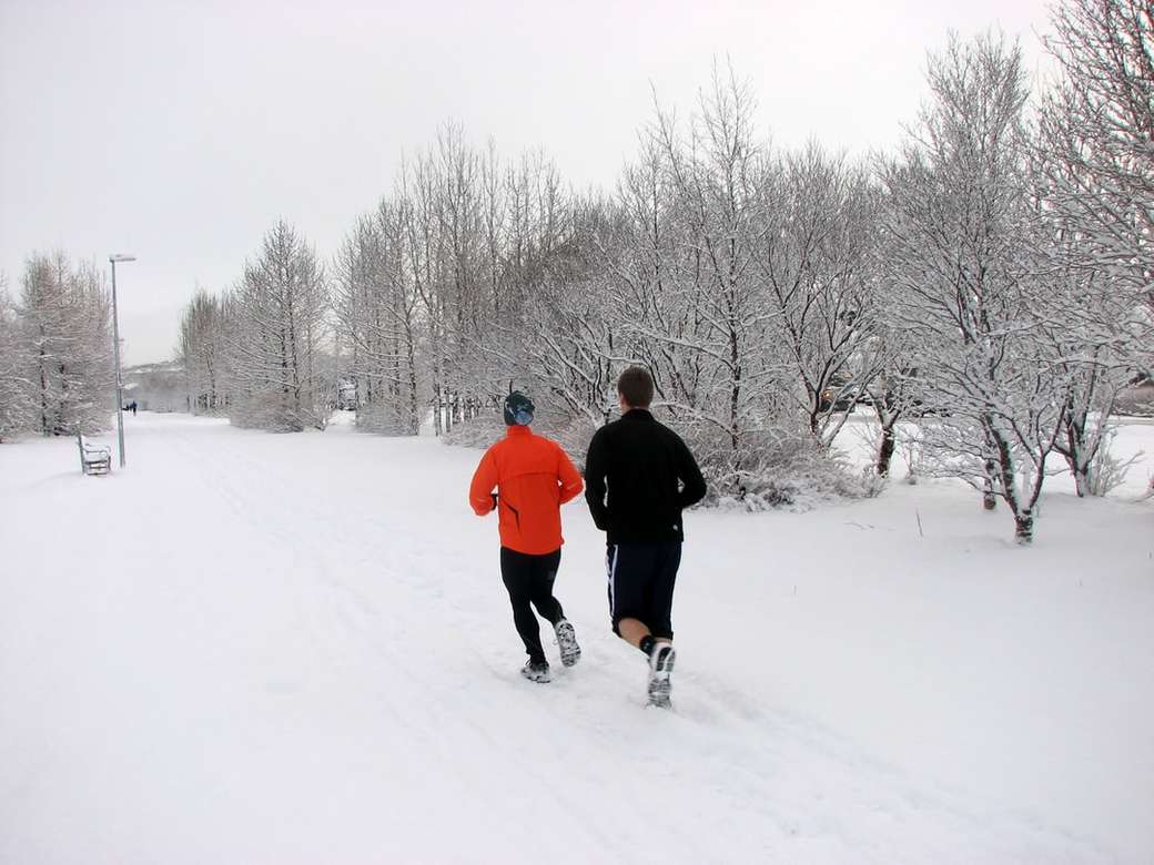Sneeuw jogg legpuzzel online