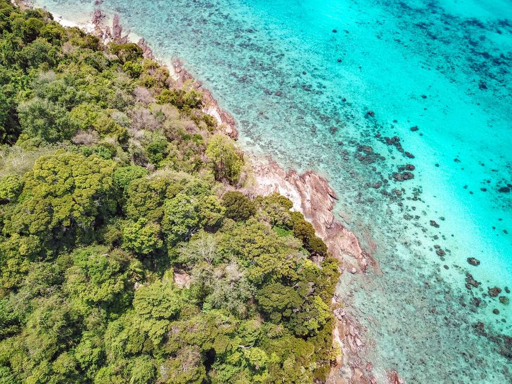 Luftaufnahme der Insel mit Bäumen nahe Ozean Puzzlespiel online