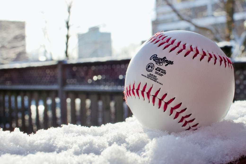 Baseball in Snow puzzle online