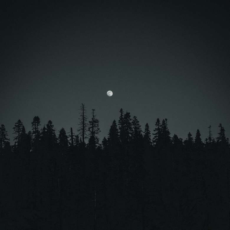 silhueta de árvores mostrando a lua cheia quebra-cabeças online