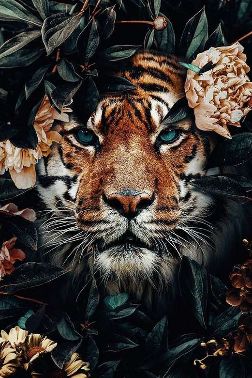 Piccola tigre ... puzzle online