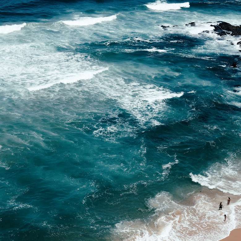 letecká fotografie čtyř lidí na pobřeží skládačky online