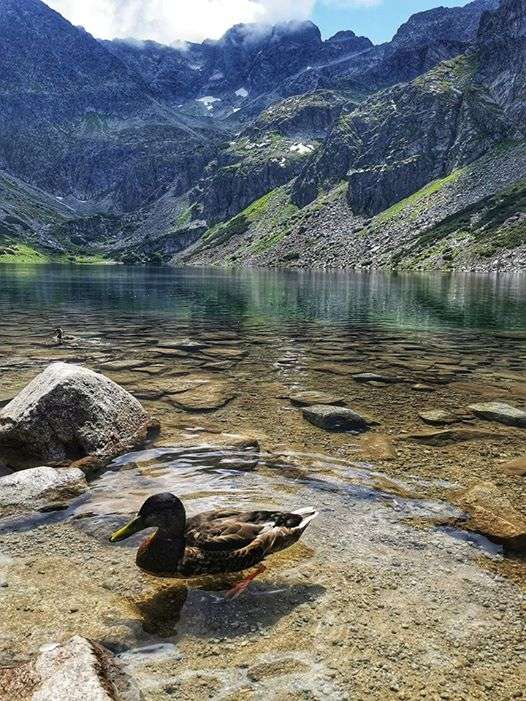 In the Tatra Mountains. online puzzle
