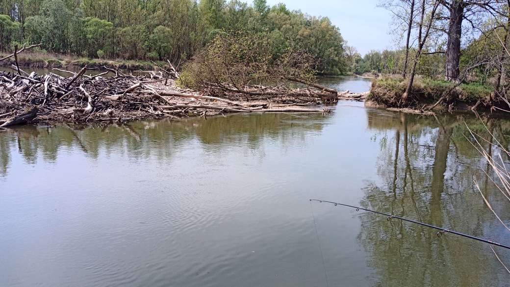 Río Mura - confluencia del arroyo Kerka rompecabezas en línea