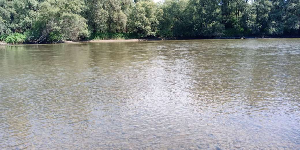 Река Мура онлайн пъзел