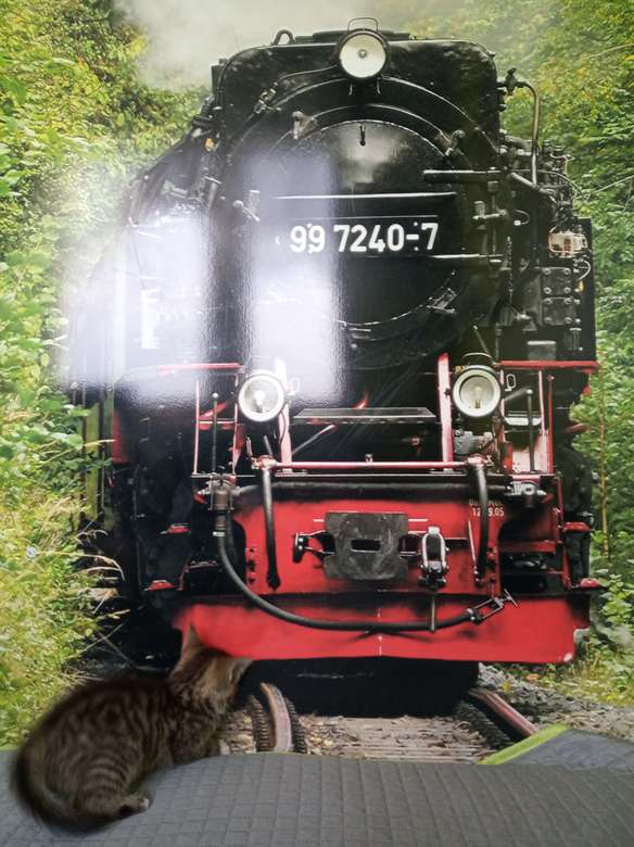 CAT ON THE TRACKS !!!! online puzzle